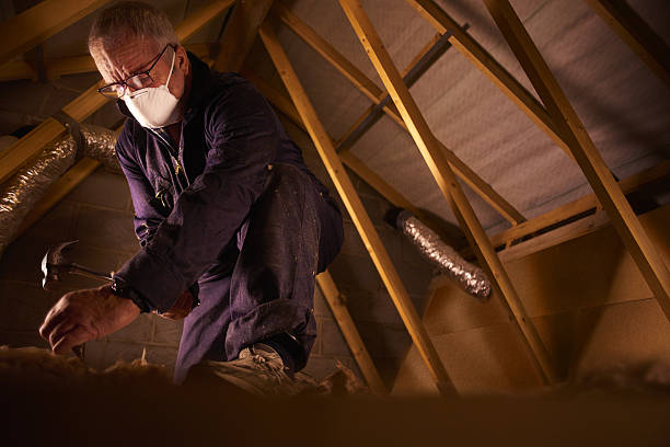 Best Geographic-Specific Insulation Services in Defuniak Springs, FL